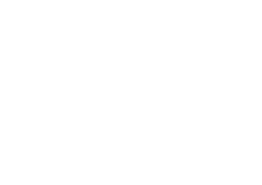NETIFUL Logo